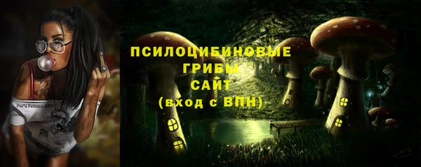 прущая мука Абаза