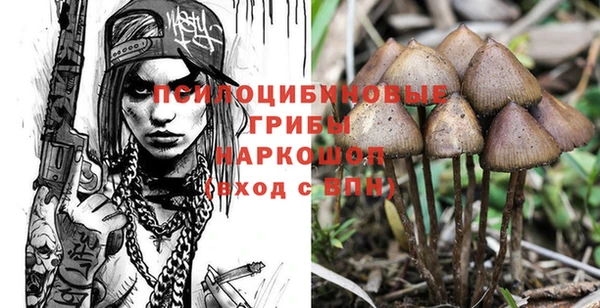 прущая мука Абаза