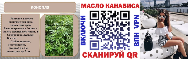 продажа наркотиков  Болотное  Дистиллят ТГК THC oil 