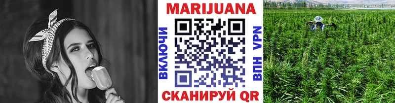 продажа наркотиков  Болотное  mega зеркало  Конопля VHQ 